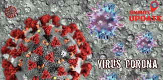 Ilustrasi Virus Corona (Foto: Doc. Sumut Update)