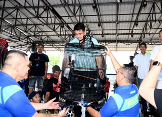 Buka Kontes Burung Berkicau, Bobby Nasution Dorong Sumut Jadi Pusat Kicau Mania Nasional